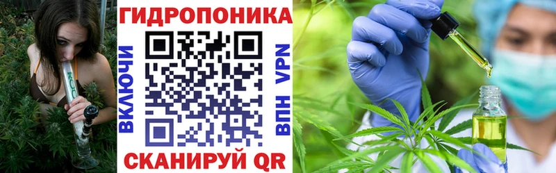 Купить наркотики цена Долгопрудный Гашиш СОЛЬ Галлюциногенные грибы Мефедрон