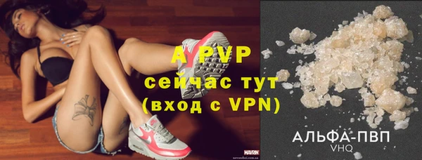 MESCALINE Гусь-Хрустальный