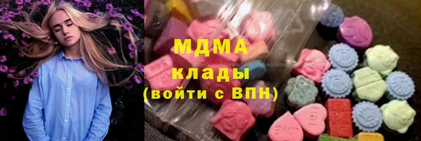 дмт Гусев