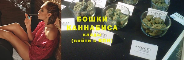 дмт Гусев