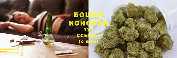 дмт Гусев
