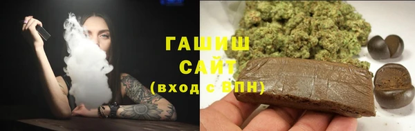 дмт Гусев