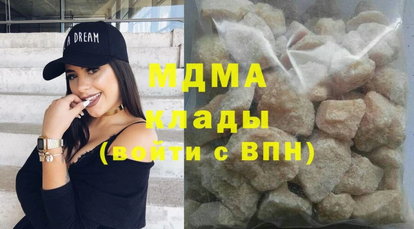 индика Дмитриев