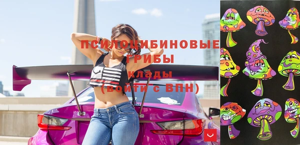 винт Гусиноозёрск