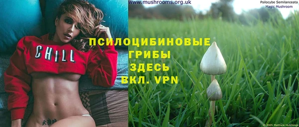 MESCALINE Гусь-Хрустальный