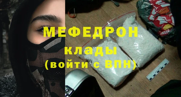 индика Дмитриев