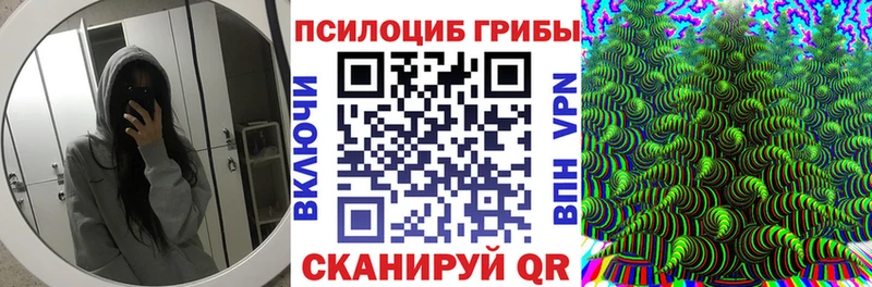 Псилоцибиновые грибы Psilocybine cubensis  Долгопрудный 